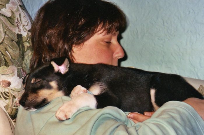 First nap with my new furever Mommy, 11/14/04